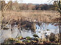 Flooded ground, Manor Hall, Deanston