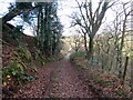 Llwybr i Bont Rhyd-aber-wern / Path to Pont Rhyd-aber-wern