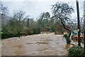 Tiverton : Cove - Mill Leat