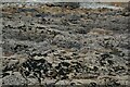 SW4626 : Penzance : Mousehole - Coastal Scenery by Lewis Clarke