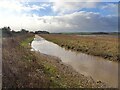 Flooded path at Lockwell Ings