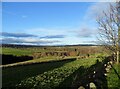 View across the Derwent Valley