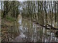 Flooding at the Blackstone Riverside Park