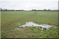 Footpath leaving Oakley