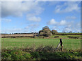 Countryside, Fosbury