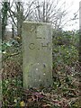 SO4939 : Modern Boundary Stone, Broomy Hill Road by Mr Red