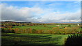 Autumn colours & farmland N of Common Plot, Stone