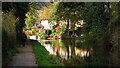 Trent & Mersey Canal reflections & houses on Wellbury Close, Trentham