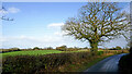 Shropshire farmland west of Codsall