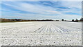 Snowy field at Smiths Green, Lower Withington