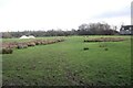 Moated platform at Fotherby (2)