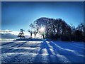 NZ1266 : Sun & fresh snow, Broomy Hill by Andrew Curtis