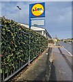 Lidl name sign, Bulwark Road, Chepstow