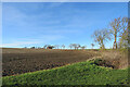 North Essex fields in winter