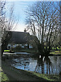 Meesden Lower Green: a frozen pond