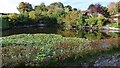 Pond at Kynaston Farm