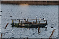 Woodberry Wetlands Nature Reserve : landing stage