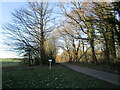 Roadway, Welbeck Abbey estate