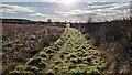 The bridleway continues to Donnington