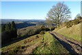 Path on Table Hill