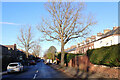 The Avenue, Starbeck, Harrogate