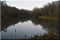 Pond, Blackley Forest