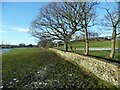 Footpath 7/2 at Northedge Lane, Coley