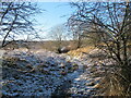 Path through scrubland near Baron