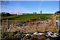 Rusty gates and countryside, Lisnagirr