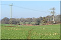 Path across field north from Trinity Farm