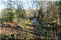 Path through woodland north of Gaston Grange