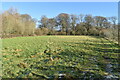 Path across small field near Gaston Grange