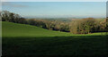 Field and woods, Poulston