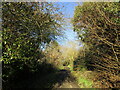 Bridleway approaching Bradmore