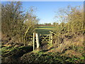 Gate into a grass field