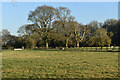 Fields beside Foul Lane