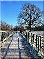 Fenced path in Graves Park