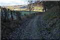 SO4266 : Track below Pyon Wood by Philip Halling