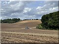 Ploughing the headland, Sonning Common