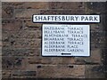 Shaftesbury Park