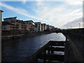 Housing next to Ayr dry dock