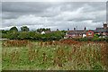 Rough grazing south-west of Hixon in Staffordshire