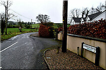 H4681 : Dunbreen View Road, Tirmurty by Kenneth  Allen