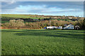 Pasture, St Columb Major