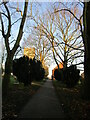 Churchyard path, North Muskham