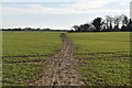 Footpath across field