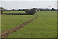 Footpath across field