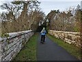 Solid walls on the bridge over the Afon Cegin