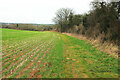 Footpath to Hook Norton