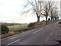 Llwybr yn gadael yr heol / Path exits the road